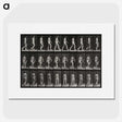 1-14_Eadweard-Muybridge_picture