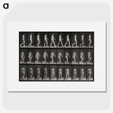 1-14_Eadweard-Muybridge_picture