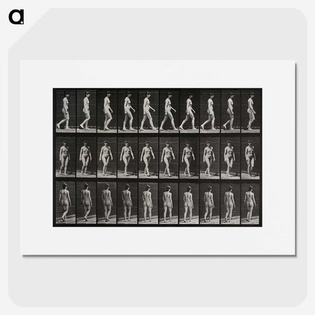 1-14_Eadweard-Muybridge_picture