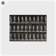 1-14_Eadweard-Muybridge_postcard