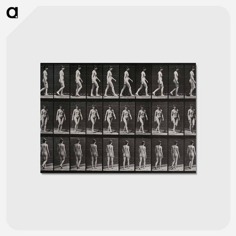 アートポストカード-Woman Walking
 - エドワード マイブリッジ Postcard.