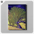 1-14_Earth-from-Above_canvas