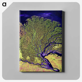 1-14_Earth-from-Above_canvas