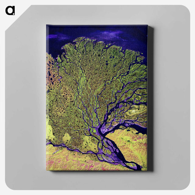 1-14_Earth-from-Above_canvas