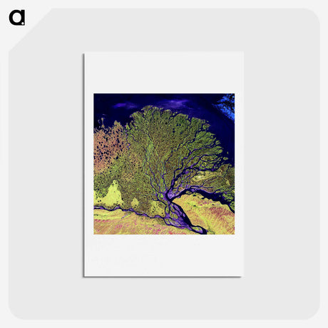 1-14_Earth-from-Above_hagaki