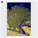 1-14_Earth-from-Above_picture-crop