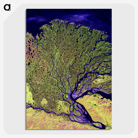 1-14_Earth-from-Above_picture-crop