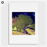1-14_Earth-from-Above_picture