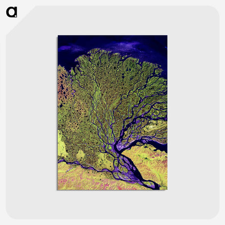 1-14_Earth-from-Above_postcard