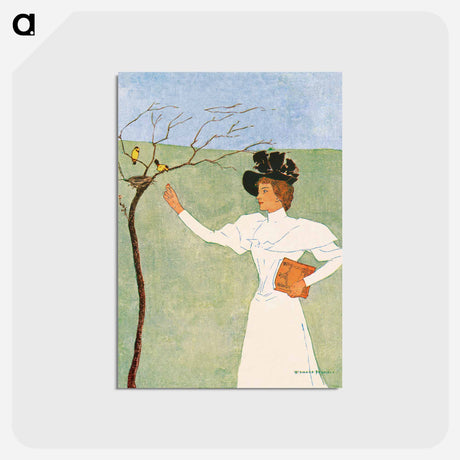 アートポストカード-Woman reaching for birds - エドワード ペンフィールド Postcard.