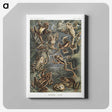 1-14_Ernst-Haeckel_canvas
