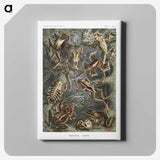 1-14_Ernst-Haeckel_canvas