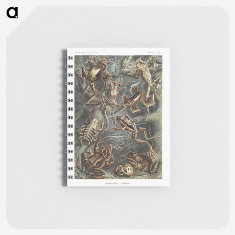1-14_Ernst-Haeckel_memo