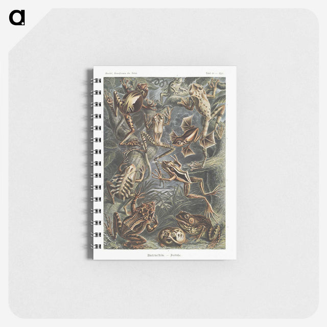 1-14_Ernst-Haeckel_memo