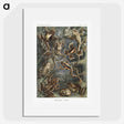 1-14_Ernst-Haeckel_picture