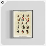 1-14_Favorite-Flies-and-Their-History_blk-crop