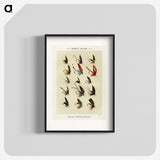 1-14_Favorite-Flies-and-Their-History_blk