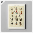 1-14_Favorite-Flies-and-Their-History_canvas