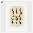 1-14_Favorite-Flies-and-Their-History_picture