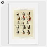 1-14_Favorite-Flies-and-Their-History_picture