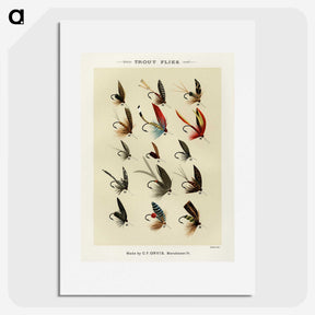 1-14_Favorite-Flies-and-Their-History_picture
