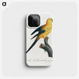 1-14_Francois-Levaillant_phone