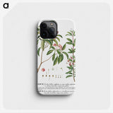 1-14_Georg-Dionysius-Ehret_phone
