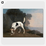 1-14_George-Stubbs_picture-crop