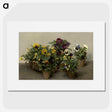 1-14_Henri-Fantin-Latou_picture