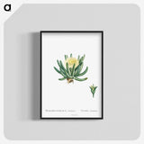 1-14_Histoire-des-Plantes-Grasses_blk-crop
