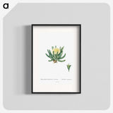1-14_Histoire-des-Plantes-Grasses_blk