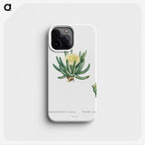 1-14_Histoire-des-Plantes-Grasses_phone