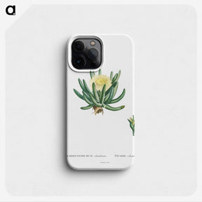1-14_Histoire-des-Plantes-Grasses_phone