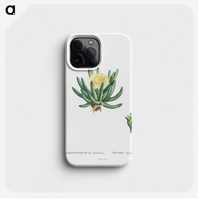 1-14_Histoire-des-Plantes-Grasses_phone