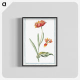 1-14_Hortus-Romanus-Botanical-Plates_blk-crop