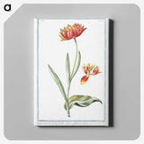 1-14_Hortus-Romanus-Botanical-Plates_canvas