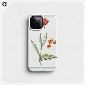 1-14_Hortus-Romanus-Botanical-Plates_phone