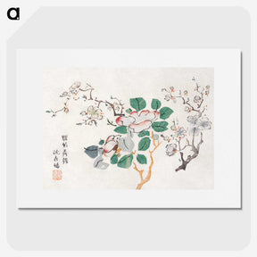 1-14_Hu-Zhengyan_picture