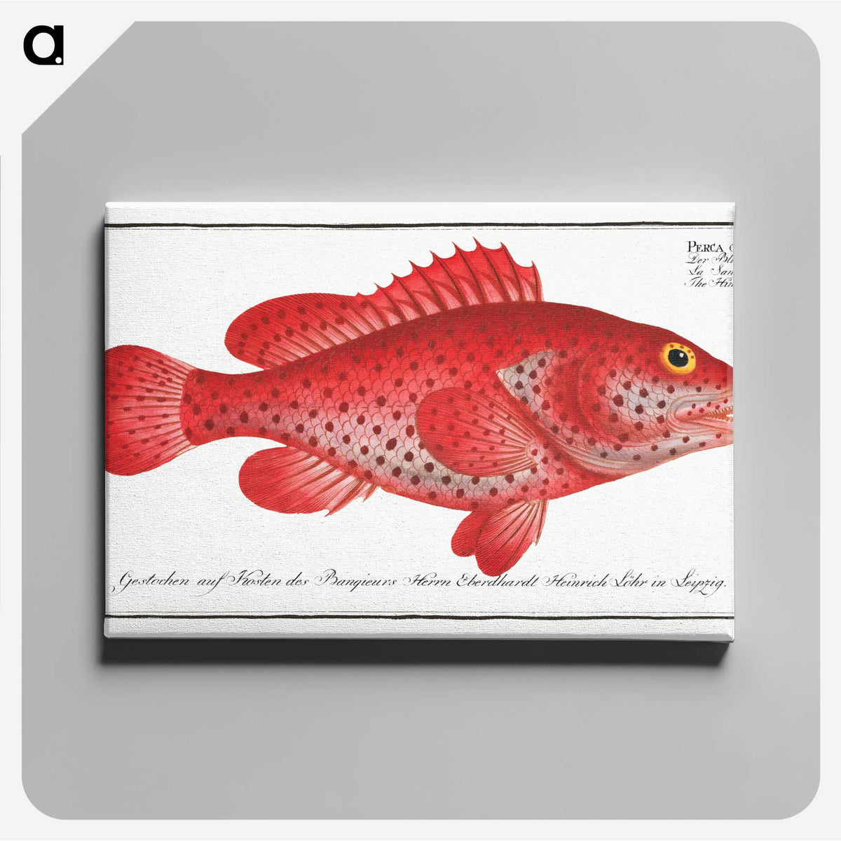 1-14_Ichtyologie-ou-Histoire-naturelle_canvas