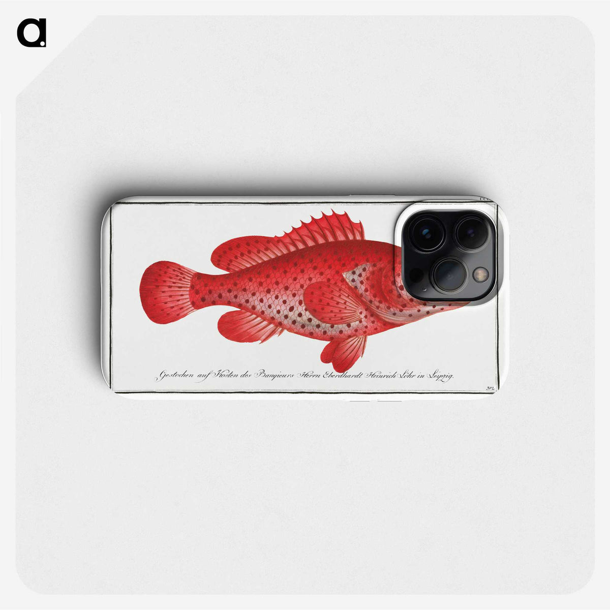 1-14_Ichtyologie-ou-Histoire-naturelle_phone