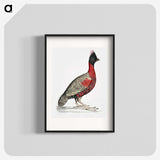 1-14_Indian-Zoology_blk