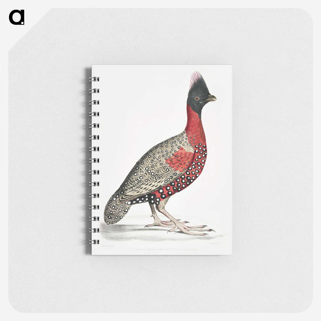 1-14_Indian-Zoology_memo