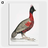 1-14_Indian-Zoology_picture-crop