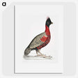 1-14_Indian-Zoology_picture