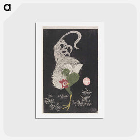 アートポストカード-Rooster
 - 伊藤若冲 Postcard.
