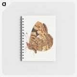 1-14_Jan-Van-Kessel_memo