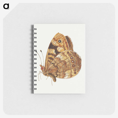 1-14_Jan-Van-Kessel_memo