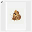 1-14_Jan-Van-Kessel_picture