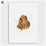 1-14_Jan-Van-Kessel_picture