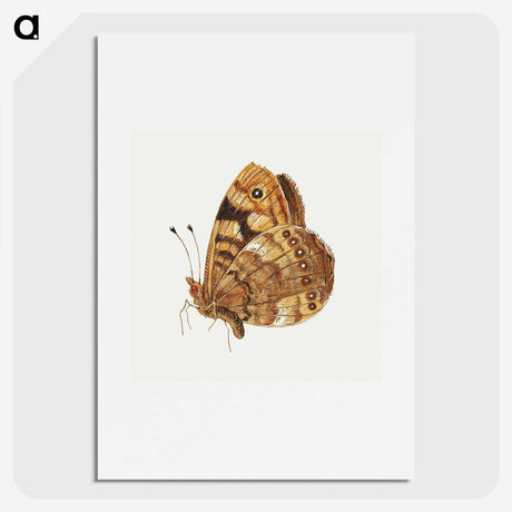 1-14_Jan-Van-Kessel_picture